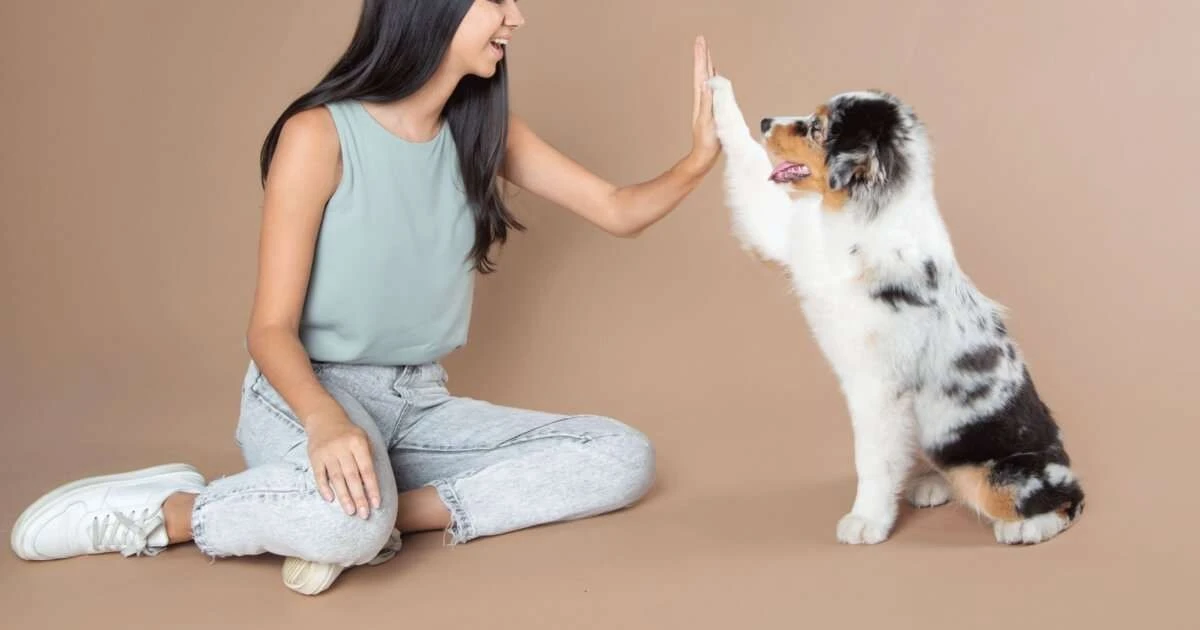 Estimula la inteligencia de tu perro con 8 trucos que funcionan de verdad