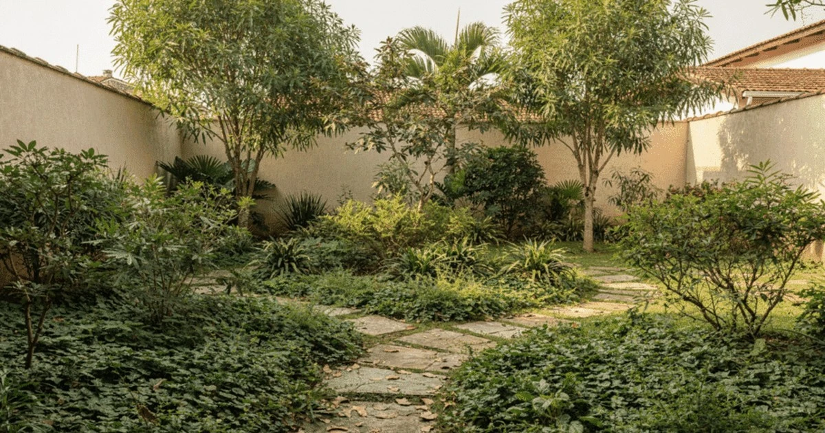 Convierte tu patio en un bosque mágico de cuento de hadas