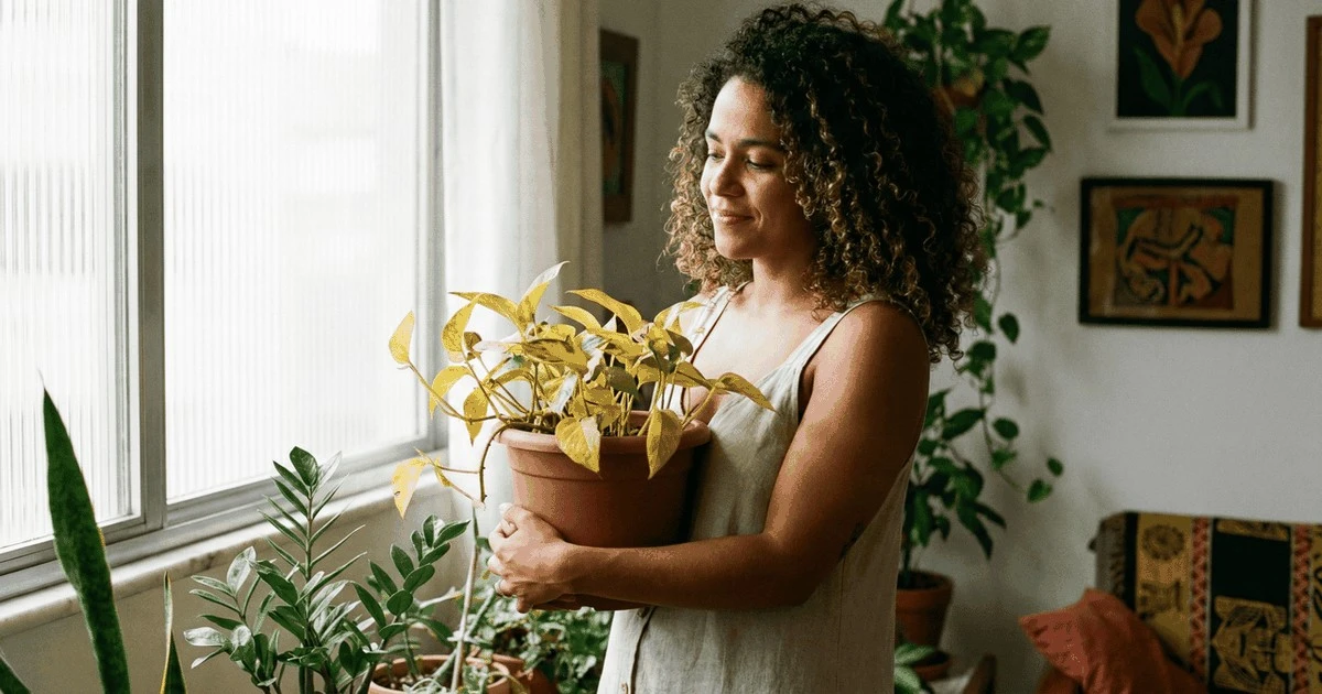 Este adubo casero de cáscara de plátano resucita plantas amarillas en días