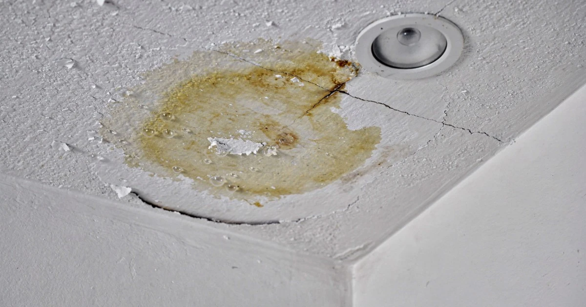 La mancha de humedad en el techo: más que un inconveniente, una señal de alarma estructural