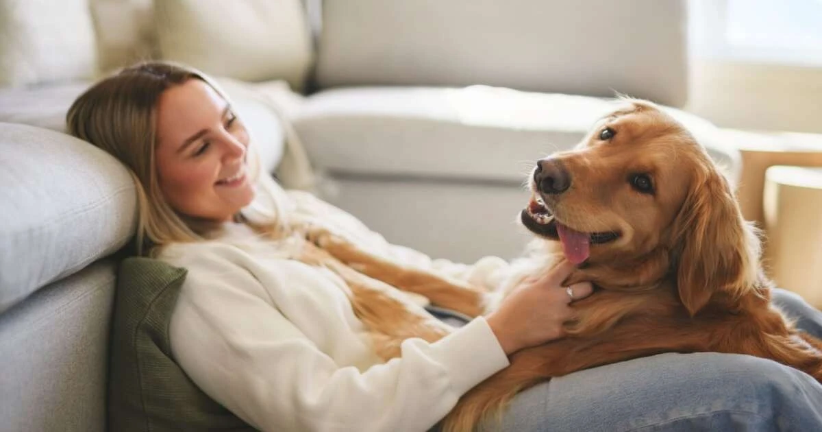 Leishmaniosis Visceral Canina: conoce los síntomas de la enfermedad y las formas de transmisión