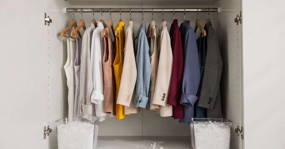 Adiós al olor a cerrado: secretos de sal y tiza para un armario fresco