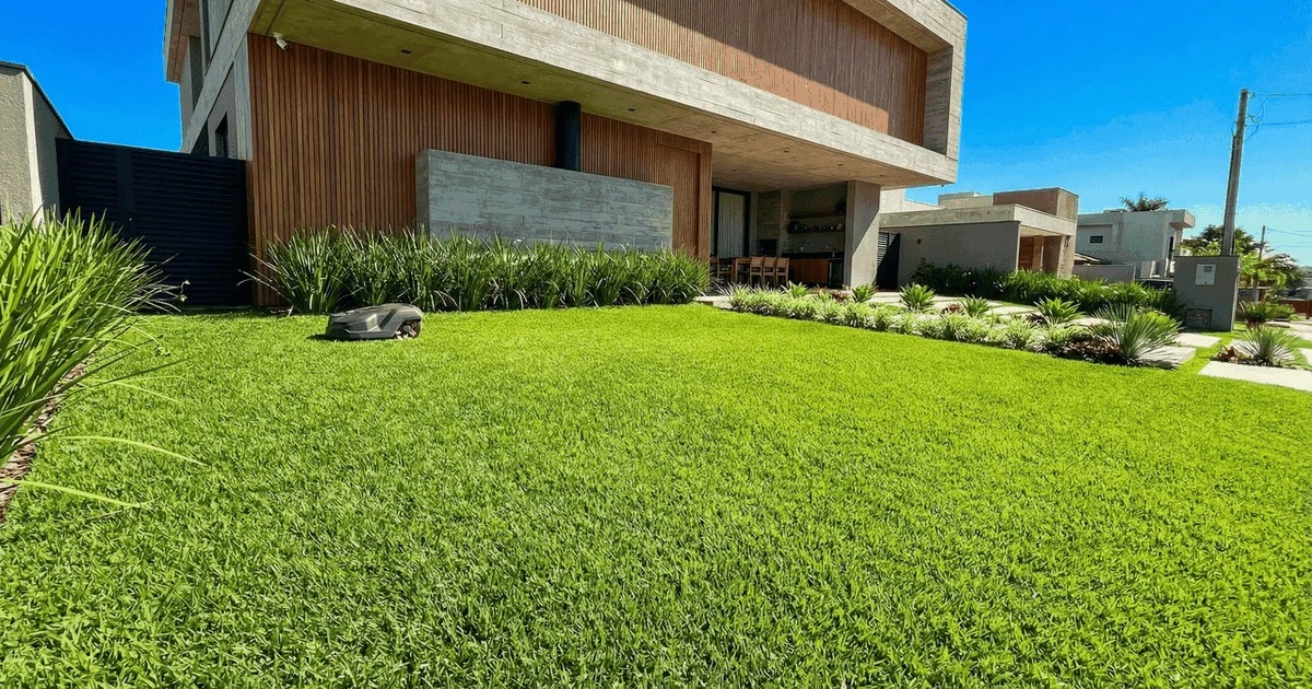 La hierba ideal para tu jardín que apenas necesita riego, soporta el solazo y no se pone amarilla en invierno