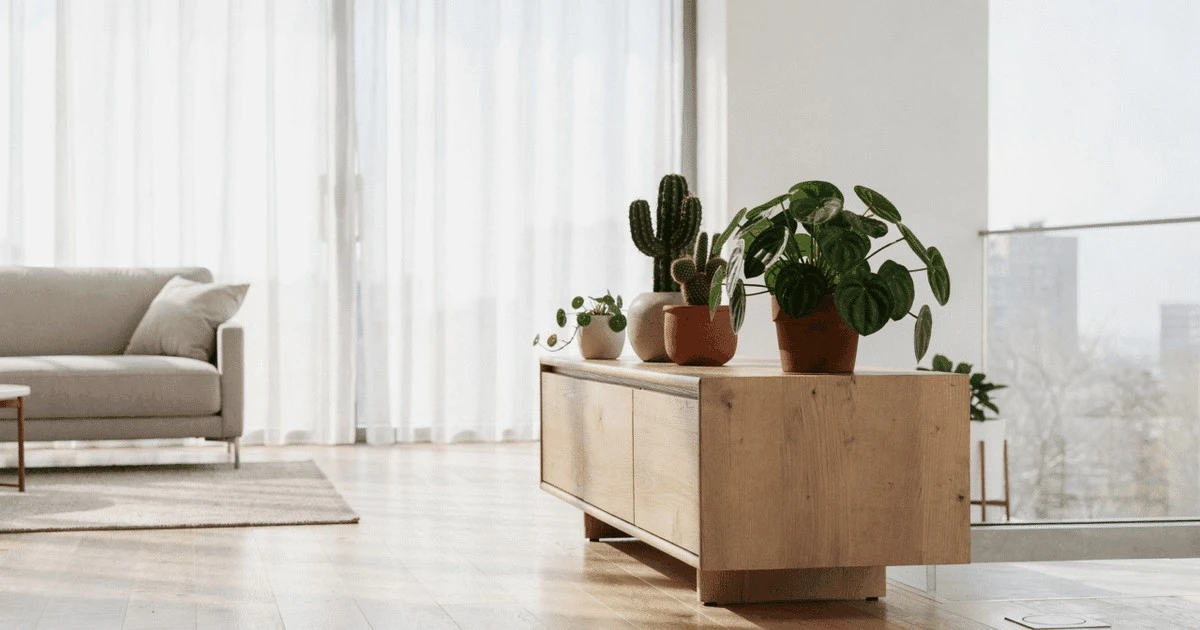 Las 3 plantas de interior perfectas que no tiran hojas y transformarán tu sala