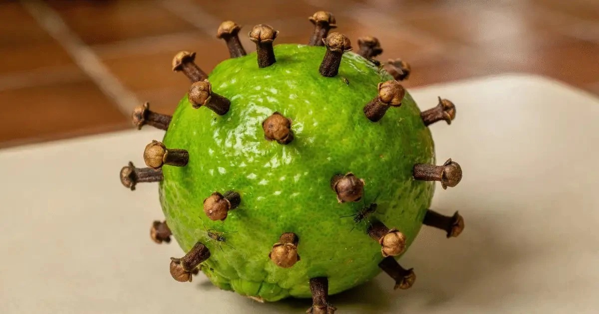 Limón con clavo: el truco casero que repele insectos y perfuma tu hogar