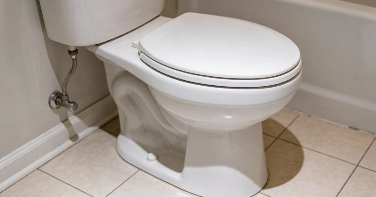 El error invisible que casi todos comenten al tirar la cadena del baño