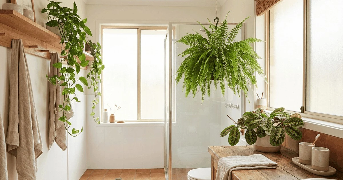 Las plantas que aman la humedad de tu baño (y florecen sin esfuerzo)