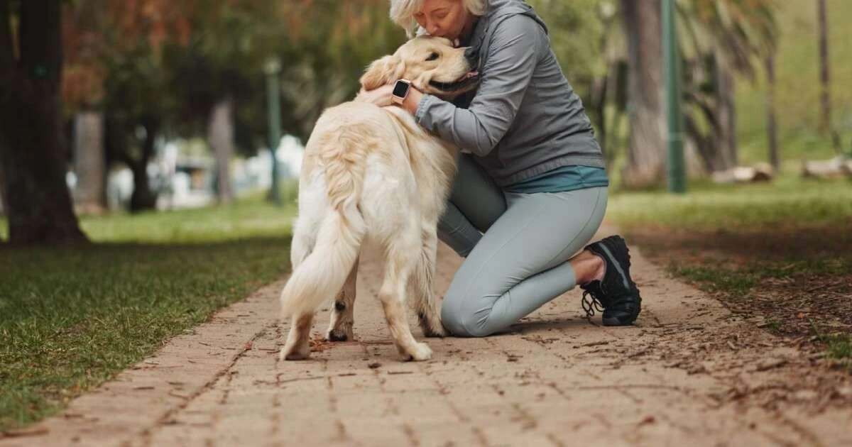 5 claves para que tu perro te entienda (y tú a él)