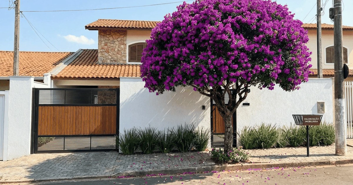 La quaresmeira: el árbol que transforma tu fachada en una obra de arte morada y perfuma tu hogar